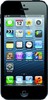 Apple iPhone 5 16GB - Челябинск